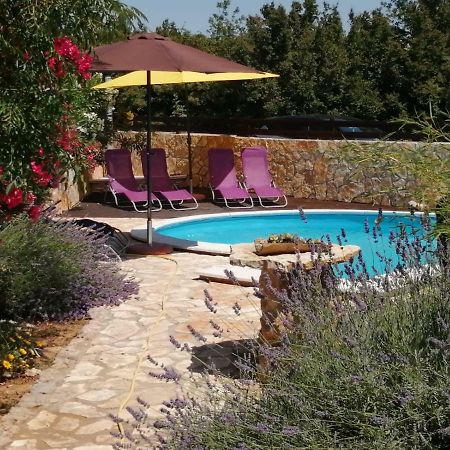 Apartments Zen Maslenica Dış mekan fotoğraf